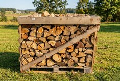 Palivové dřevo vzduchosuché rovnané, olše, délka 30-33 cm, 1 prmr