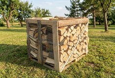 Rovnané suché palivové dřevo, buk, délka 25 cm, 1 prmr