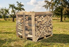 Rovnané suché palivové dřevo, bříza, délka 33 cm, 1 prmr